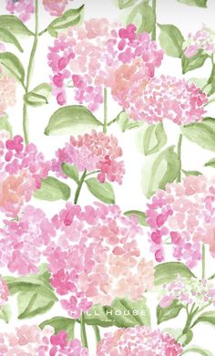 a watercolor painting of pink and green flowers