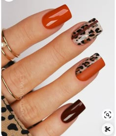 Burnt Orange Nails, Leopard Nail Designs, Nails Black Women, Orange Nail Designs, Nails Orange, September Nails, Fall Nail Art Designs