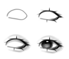 four different types of eyes are shown in black and white