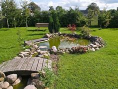 a small pond in the middle of a grassy area with a wooden bridge over it