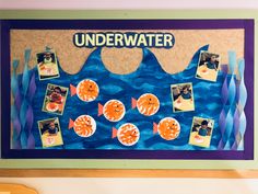 an under water bulletin board with pictures of fish