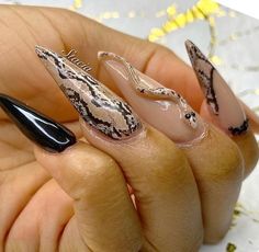 Snake Nails Designs, Snake Nails, Arte Aries, Poly Gel, Gel Nails Diy, Young Nails, Transfer Foil, Nails Diy