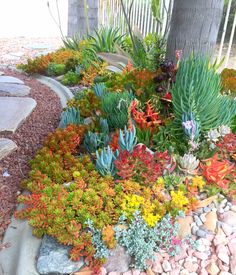 an assortment of colorful plants and rocks in a garden area next to a tree on the sidewalk