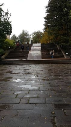 people walking up and down the steps in front of some trees on a rainy day