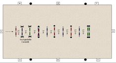 the diagram shows how many different types of cell phones are connected to each other,