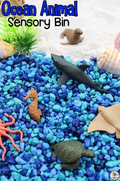 an ocean animal story bin is filled with rocks and sea animals to play in the sand