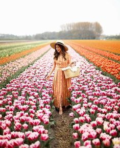 a woman in a hat and dress walking through a field full of tulips