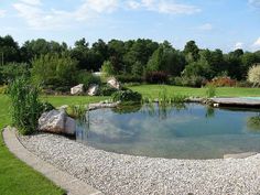 a small pond in the middle of a grassy area with rocks and grass around it