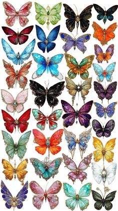 many different colored butterflies are shown in this image, and there is no image to describe