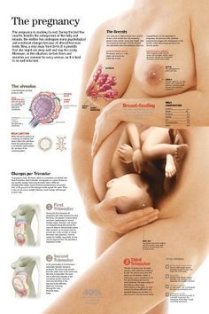 the pregnant woman's breast is shown in this medical poster, with information about her baby