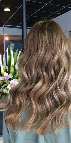 Highlights Over Gray Hair, Light Brown Blonde Hair Caramel, Cool Tone Light Brown Hair Balayage, Light Brunette With Lowlights, Light Burnett Hair, Light Brown Blonde Hair Balayage, Bronde Haircolor Fall, Honey Beige Balayage, Light Brown Hair With Subtle Highlights