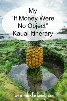 a pineapple with the words, my if money were no object kauai library