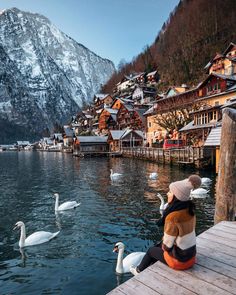 a person sitting on a dock with swans in the water and mountains in the background