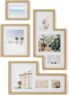 three wooden frames hanging on the wall with pictures and plants in them, one has a beach scene