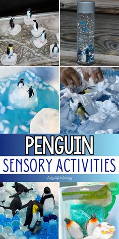 Penguin Sensory Activities Arctic Animal Activities, Arctic Animals Activities, Arctic Animals Preschool, Sensory Activities For Kids, Infant Activity, Animal Activities For Kids, Penguin Crafts, Preschool Science Activities