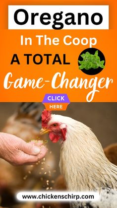 an orange sign that says, organic in the coop at total game changer click here