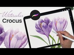 a person is holding a tablet with watercolor crocus on it and drawing flowers