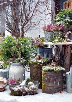 several pots and baskets filled with plants in the snow