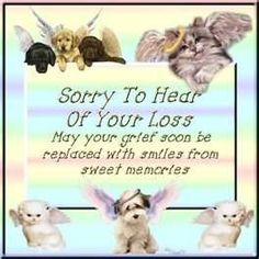 Companionship and attachment...combined with emotions, financial and physical investments with our pets, literally shape the bone you have with them. Pet Sympathy Quotes, Dog Heaven Quotes, Pet Condolences, Baby Pomeranian, Dog Sympathy Card, Miss My Dog, Dog Poems, Pet Sympathy Cards, Dog Sympathy