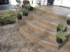 some plants that are sitting on the steps