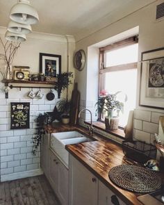 a kitchen filled with lots of counter top space and plants on the shelf above it