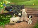 two dogs and three sheep standing in front of a bench