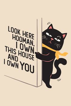 a black cat peeking out from behind a door with the words look here, hooman, i own this house and i own you