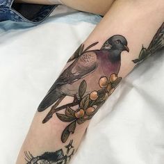 a bird sitting on top of a branch next to an apple tree and another bird