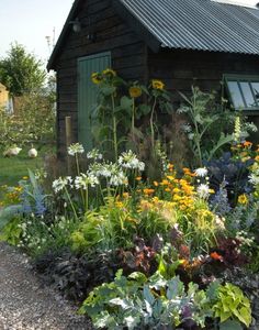 a garden with lots of flowers next to a small wooden building on the side of a road