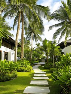 a pathway made out of stepping stones between two buildings and palm trees in the background