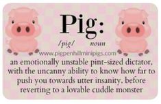 two pink pigs sitting next to each other with the words pig on it's side