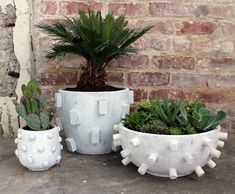 three cement planters with plants in them sitting on a concrete floor next to a brick wall