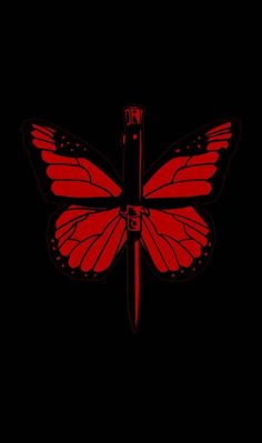 a red butterfly on a black background