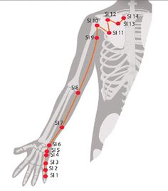 Small Intestine Meridian Five Elements Of Life, Acupressure Chart, Reflexology Pressure Points, Water Healing, Elements Of Life