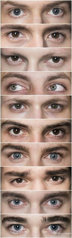 several different types of eyes are shown in this image, and each one has their own individual