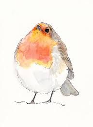 a watercolor drawing of a bird with orange and white feathers on it's head