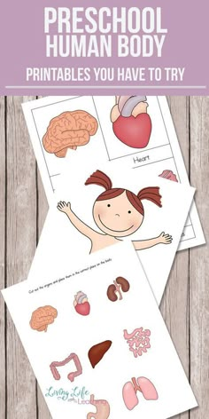 the printable worksheet for preschool to learn how to read and understand human body