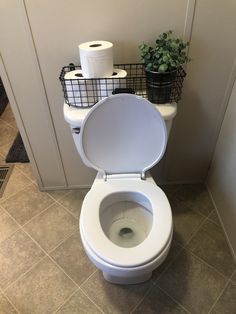 a white toilet sitting in a bathroom next to a plant and two rolls of toilet paper