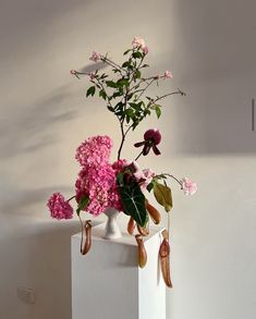 a vase filled with pink flowers on top of a white pedestal next to a wall