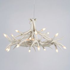 a chandelier made out of white antlers hanging from a ceiling in a room