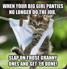 a kitten hanging from a clothes line with the caption when your big girl panties no longer do the job slap on those granny ones and get'er done