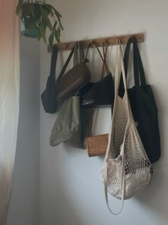 several purses hanging on a wall with some plants in the corner and one is holding a bag