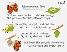 an insect poem with butterflies on it