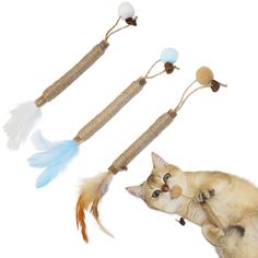 a cat is playing with a toy made out of feathers and beads on a white background