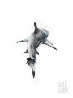 a black and white photo of a dolphin