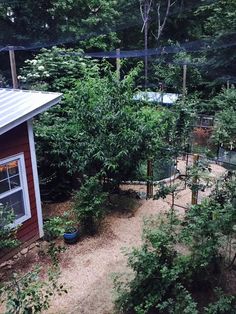 a small red house surrounded by trees and bushes