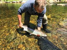 a man standing in shallow water holding a fish