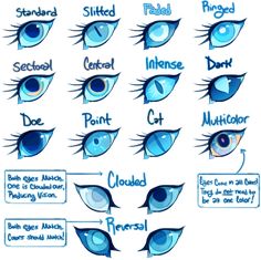 an eye chart with different types of eyes and how to use them in the classroom