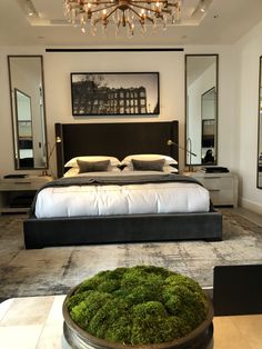 a large bed sitting in the middle of a bedroom next to a green moss covered floor