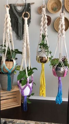 macrame plant hangers in various colors and sizes with plants hanging from them